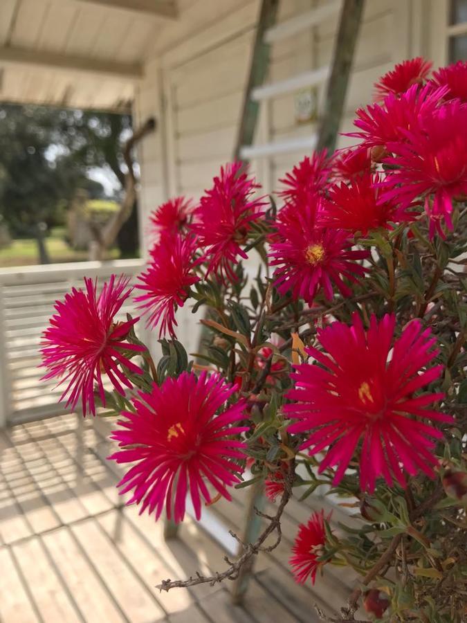 Tenuta I Quattro Venti Otranto Kültér fotó